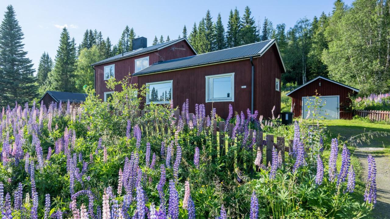 The Bear'S Den Villa Håkafot Exterior photo